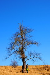 P1020384