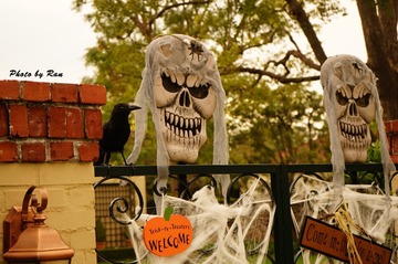 DSC02564_s