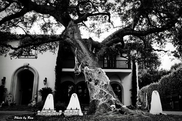 DSC02597_s