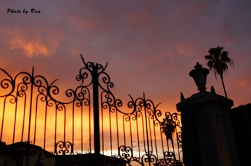 DSC02700_s