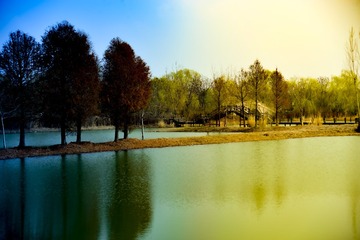 DSC_1916_1
