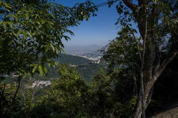 麦收时节 (1)