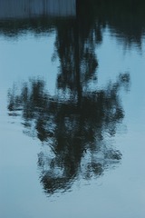 166988