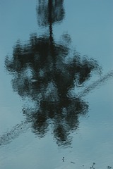 166987