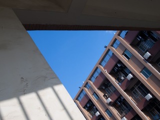 273361