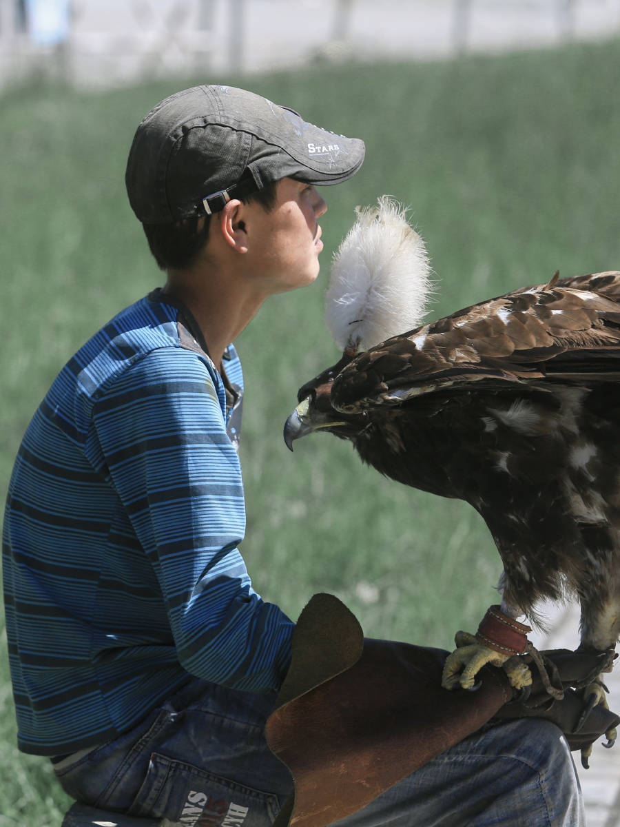 哈萨克天山驯鹰人
