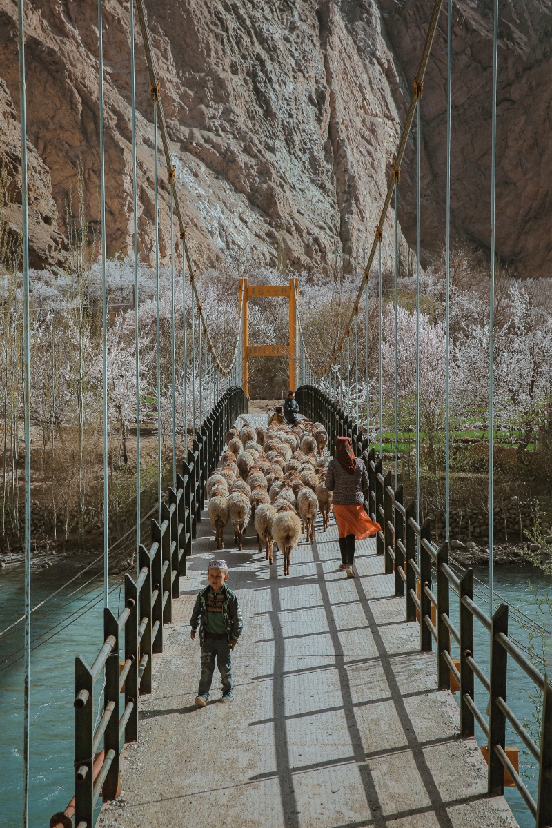 南疆帕米尔高原塔莎古道塔尔乡杏花村