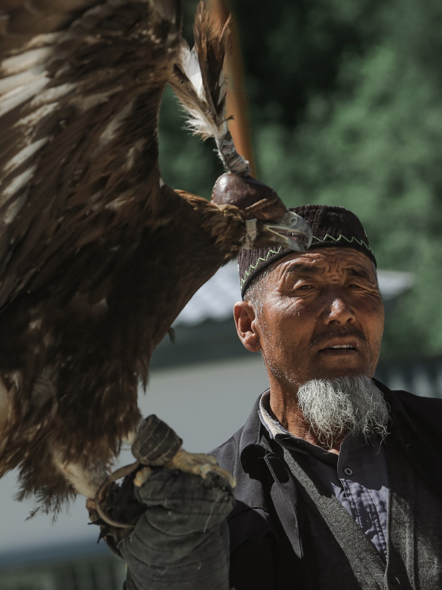 哈萨克天山驯鹰人