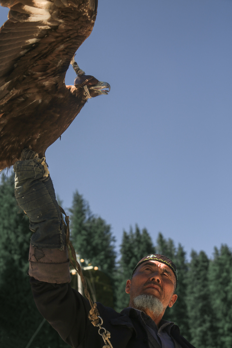 哈萨克天山驯鹰人