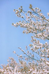 E76C5F02-61AF-485A-A65B-8E9BD0D5909A/L0/001