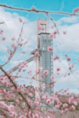 A81EF6A2-F877-47C1-9A58-85FDF1807CEF/L0/001