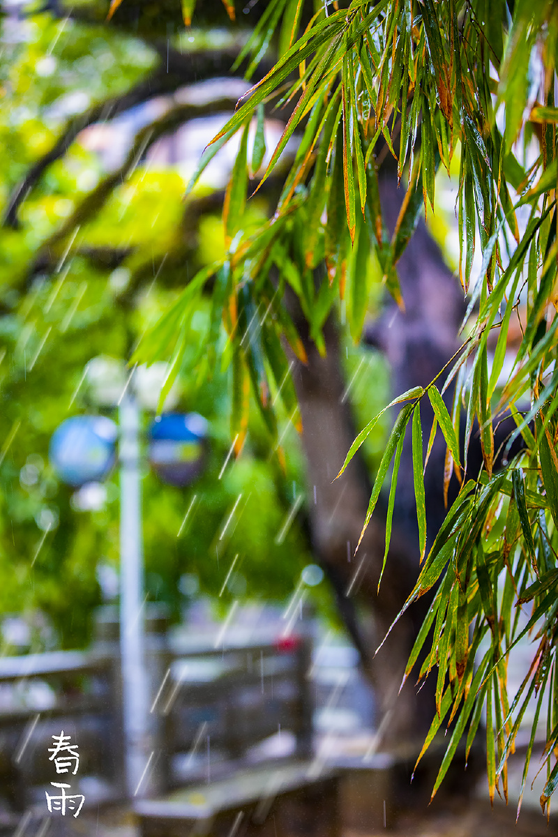 2021第一场春雨