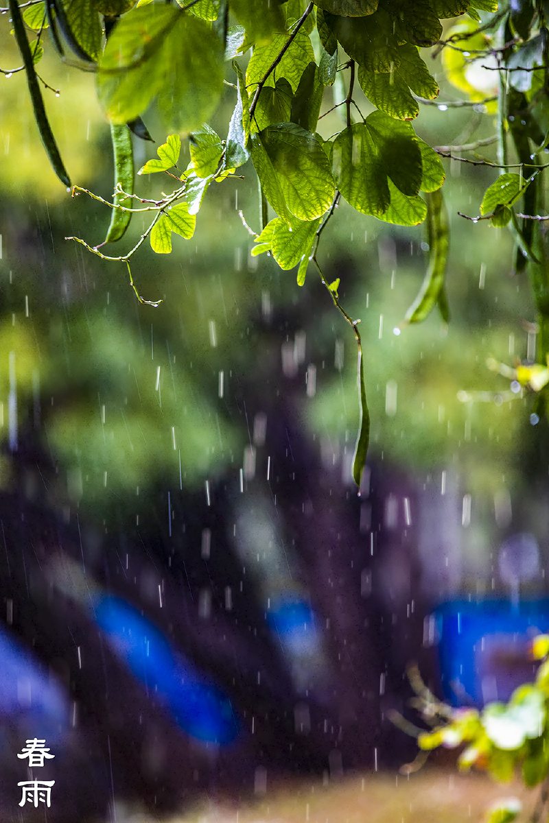 2021第一场春雨