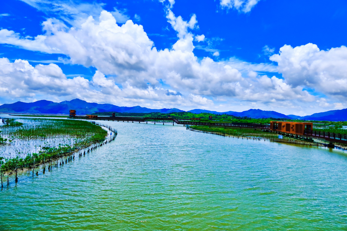 惠东好招楼湿地公园