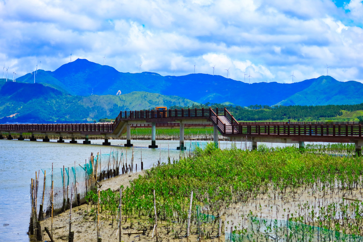 惠东好招楼湿地公园