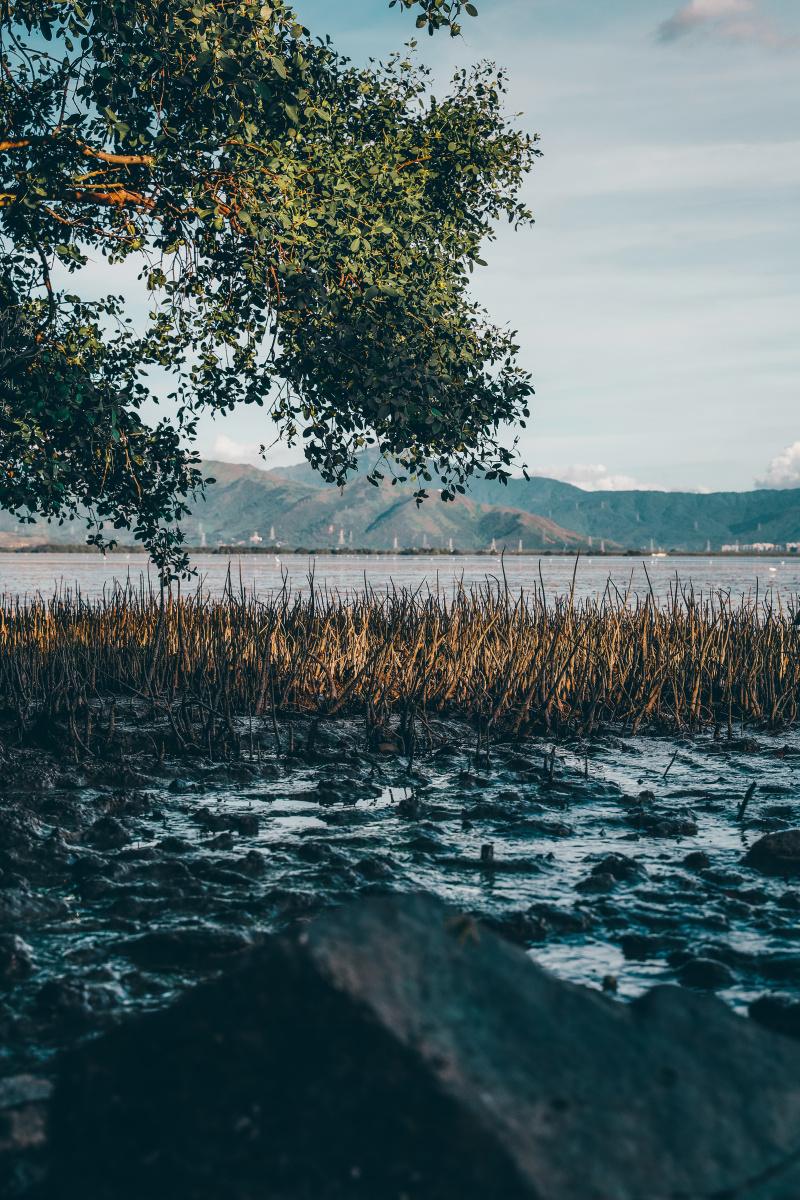 家乡的缘风景关注