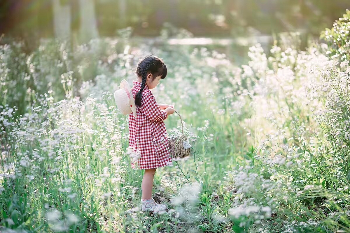 采花的小姑娘