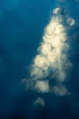 B5C1A9AD-E797-4D62-B58B-F2448F7451B2/L0/001