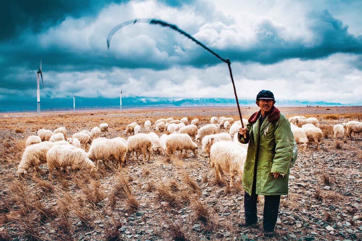 大西北的牧羊汉子:大清早出发,背上干粮,雨具,保暖的衣物,在苍茫的