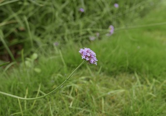 389BDF97-3EF1-4A8F-8F82-BEC0F8AE12FD/L0/001