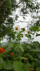 F338901A-C4E0-436F-8C71-92B1EF6080A5/L0/001