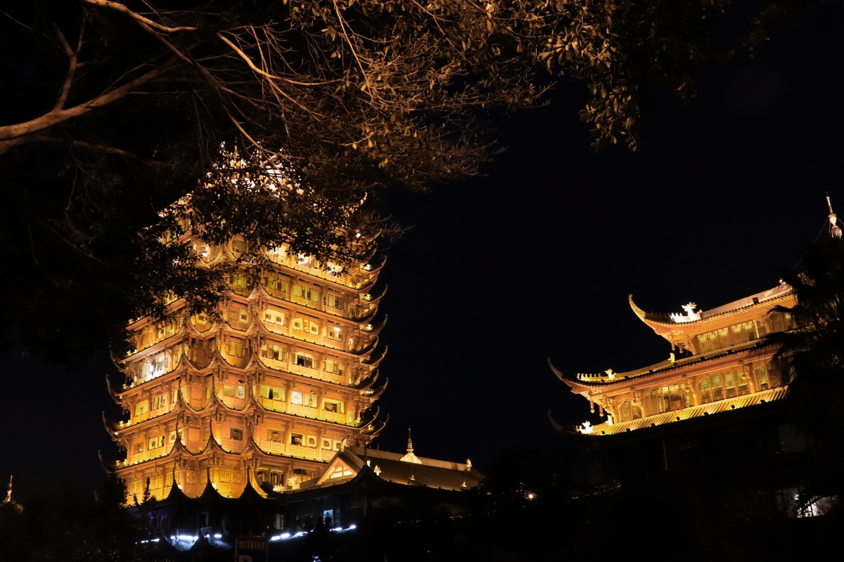 眉山网红水街远景楼灯光夜景打卡人山人海未能挤进最核心的水景表演