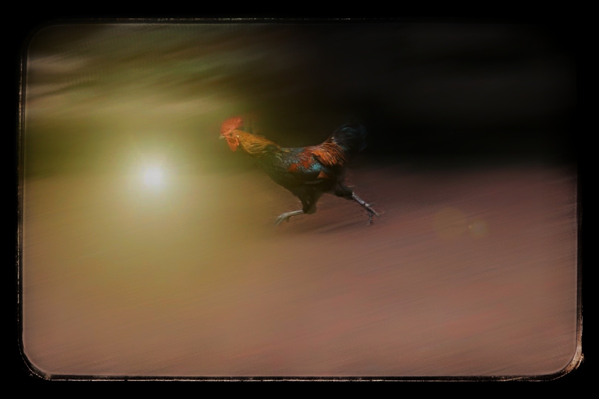 风风火火闯九州去