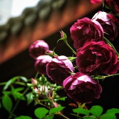 189090