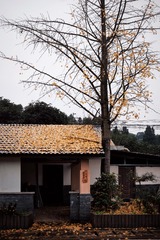 449634