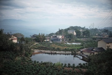439633
