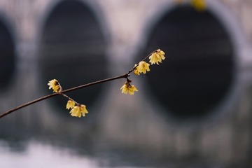452491