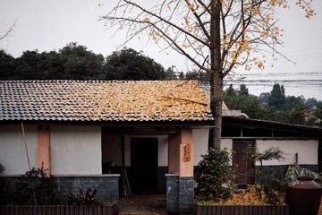 449629