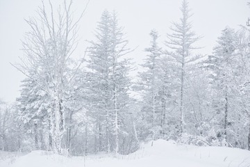 SDIM5672