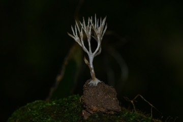 764545