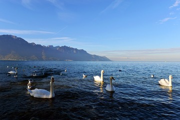 DSC_2265-20141030