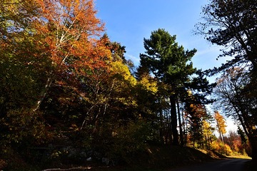 DSC_2404-20141103
