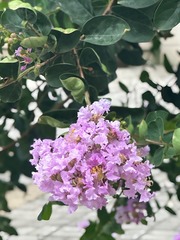 8B0064E5-DF3D-4E50-91D1-220D00272C0F/L0/001