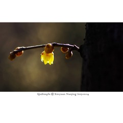 _IGP5240