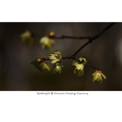 _IGP5247