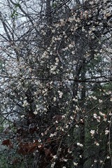755D868E-E2BB-4CE5-9024-1386E585ABFD/L0/001