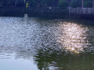 C92D4707-99C4-461C-A265-126961B64A2E/L0/001