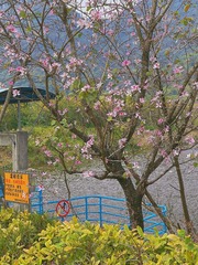 FF2F72C1-9626-4E75-B7B2-2A742F572B16/L0/001