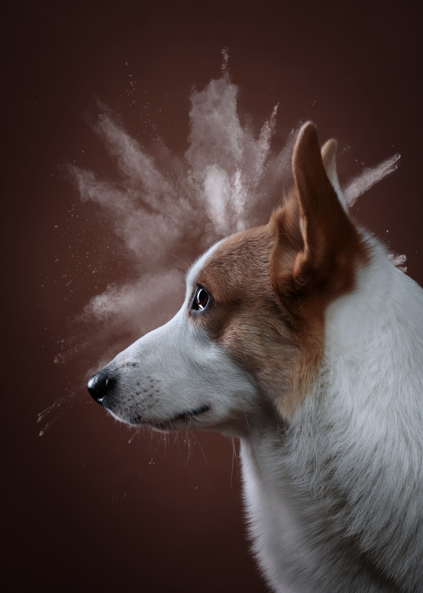 圈子君了你图虫圈子一周精选集第4期