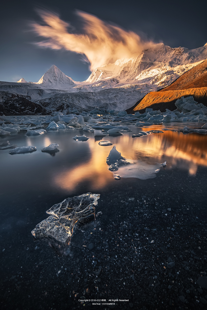 新鲜绝美图虫圈子一周精选第5期