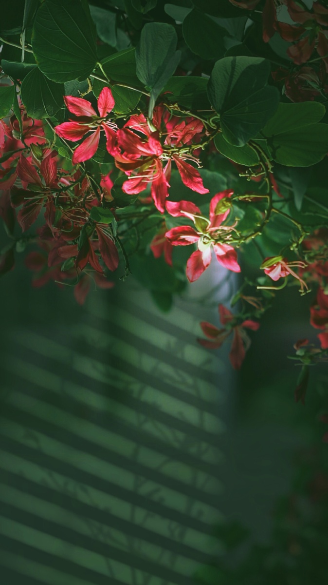 绚烂之色图虫圈子一周精选第9期