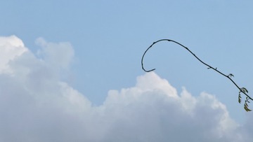 DA0004B3-AD0B-4382-B764-D242E29B1B83/L0/001