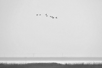 _DSC3564