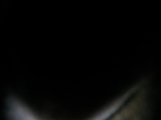 G0012451