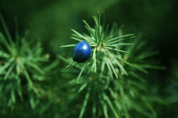 IMG_0025_