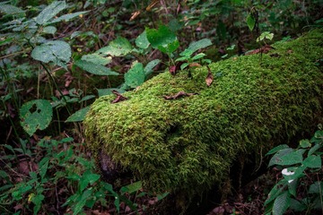 _DSC9038